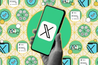 Everything You Need to Know Englishleaflet.com