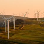 How Nelonium is Shaping the Future of Renewable Energy Solutions