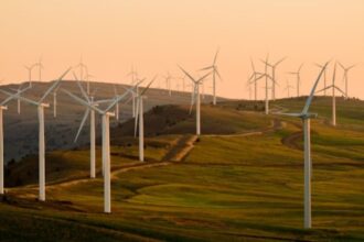 How Nelonium is Shaping the Future of Renewable Energy Solutions