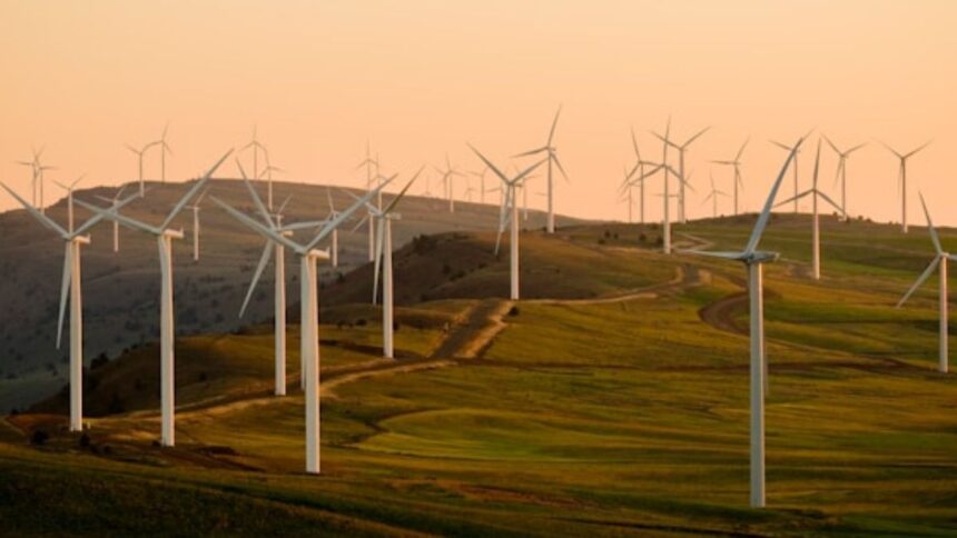 How Nelonium is Shaping the Future of Renewable Energy Solutions