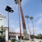 How to Implement an Oil Palm Self-Cleaning Street Light Project