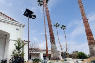 How to Implement an Oil Palm Self-Cleaning Street Light Project